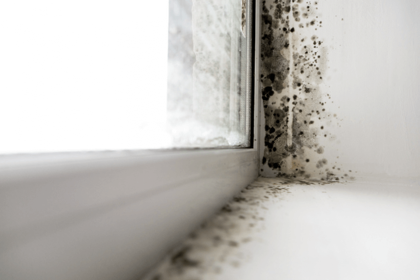 what-causes-damp-patches-on-ceilings-envirovent