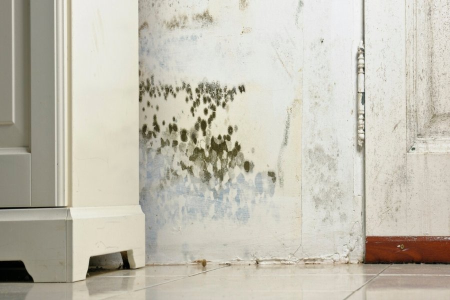 How To Get Rid Of Damp On Inside Walls