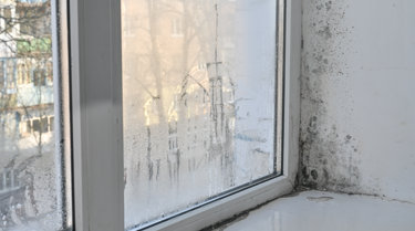 mould-on-wall-and-window