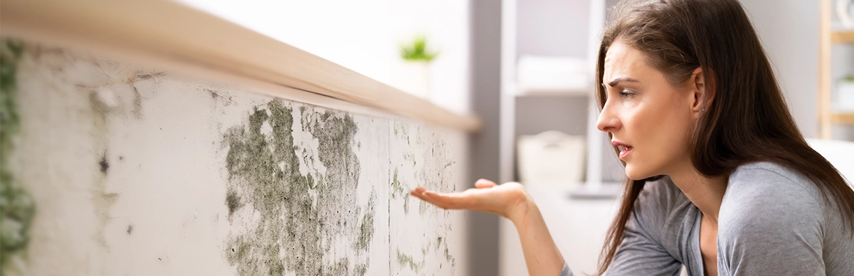 person-looking-at-mouldy-wall