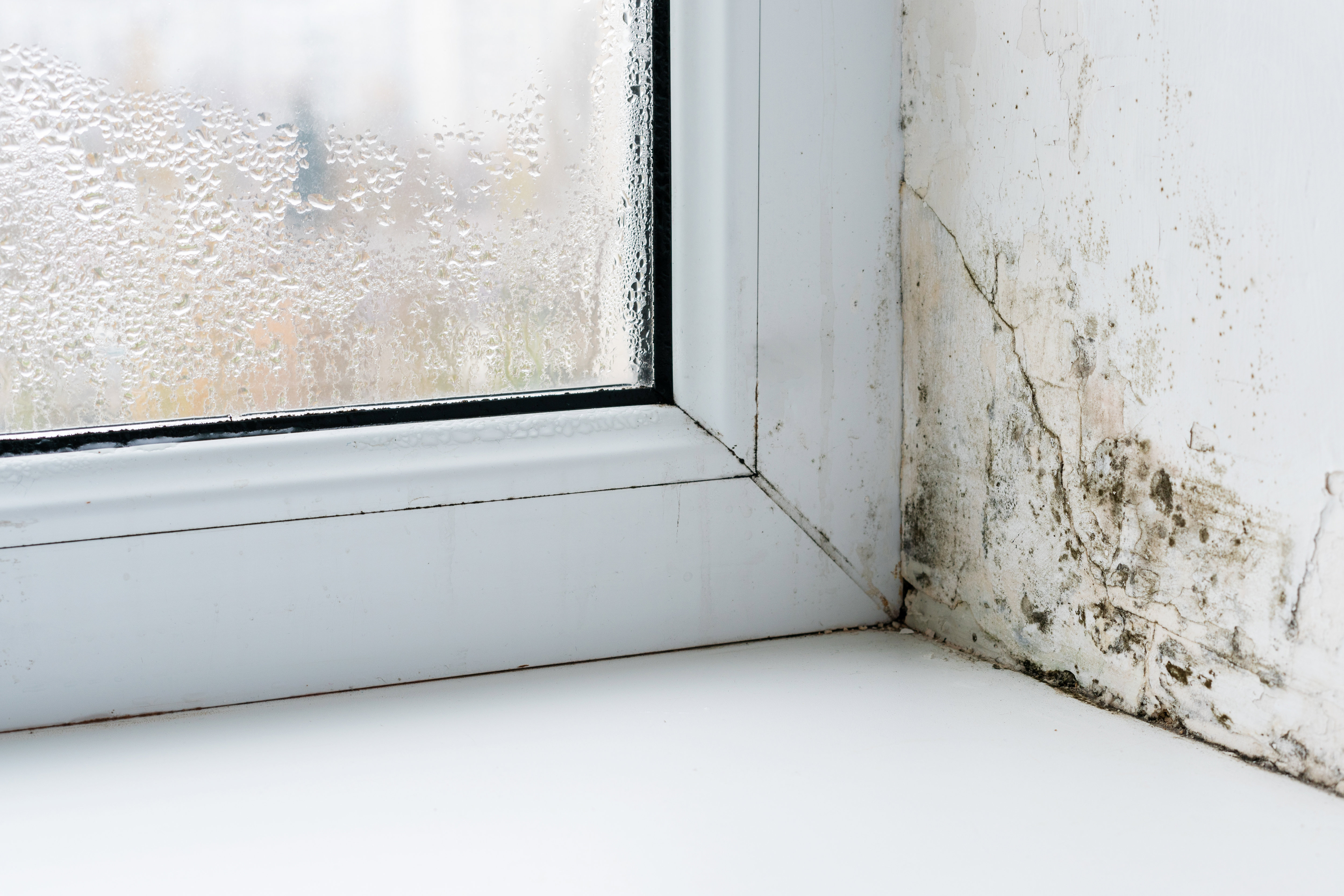 mould-on-corner-of-wall