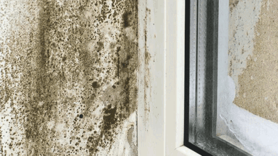 Mould forming in the corner of a window