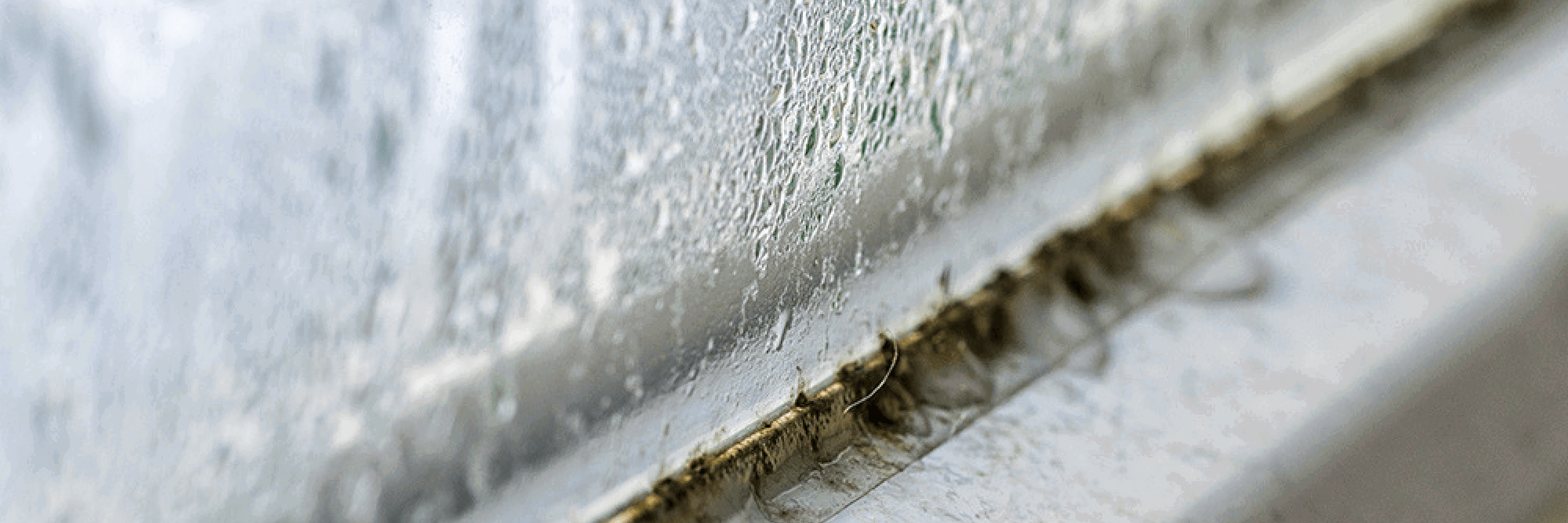 Condensation on a window