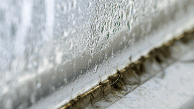 Condensation on a window