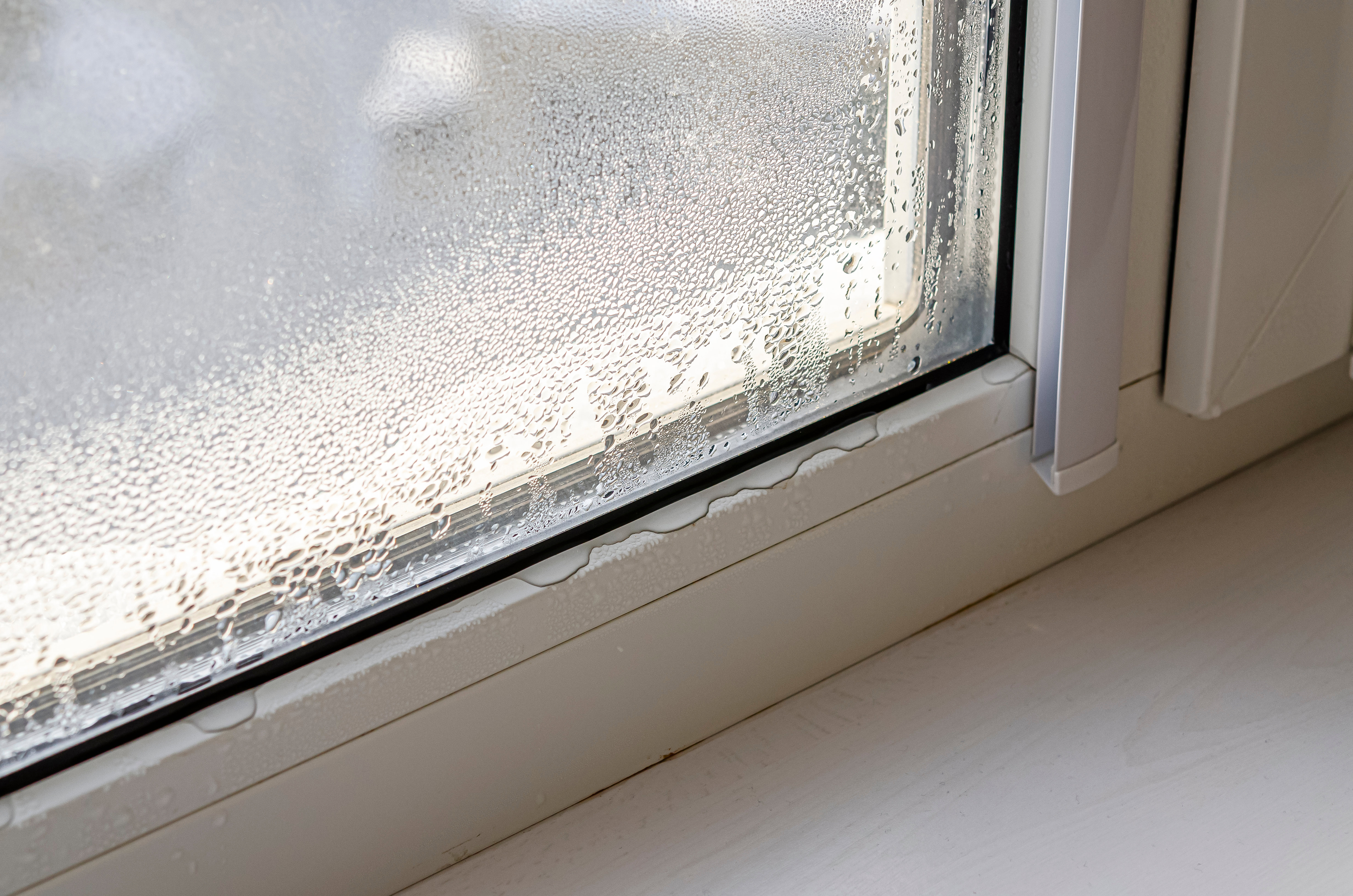condensation-on-wet-window