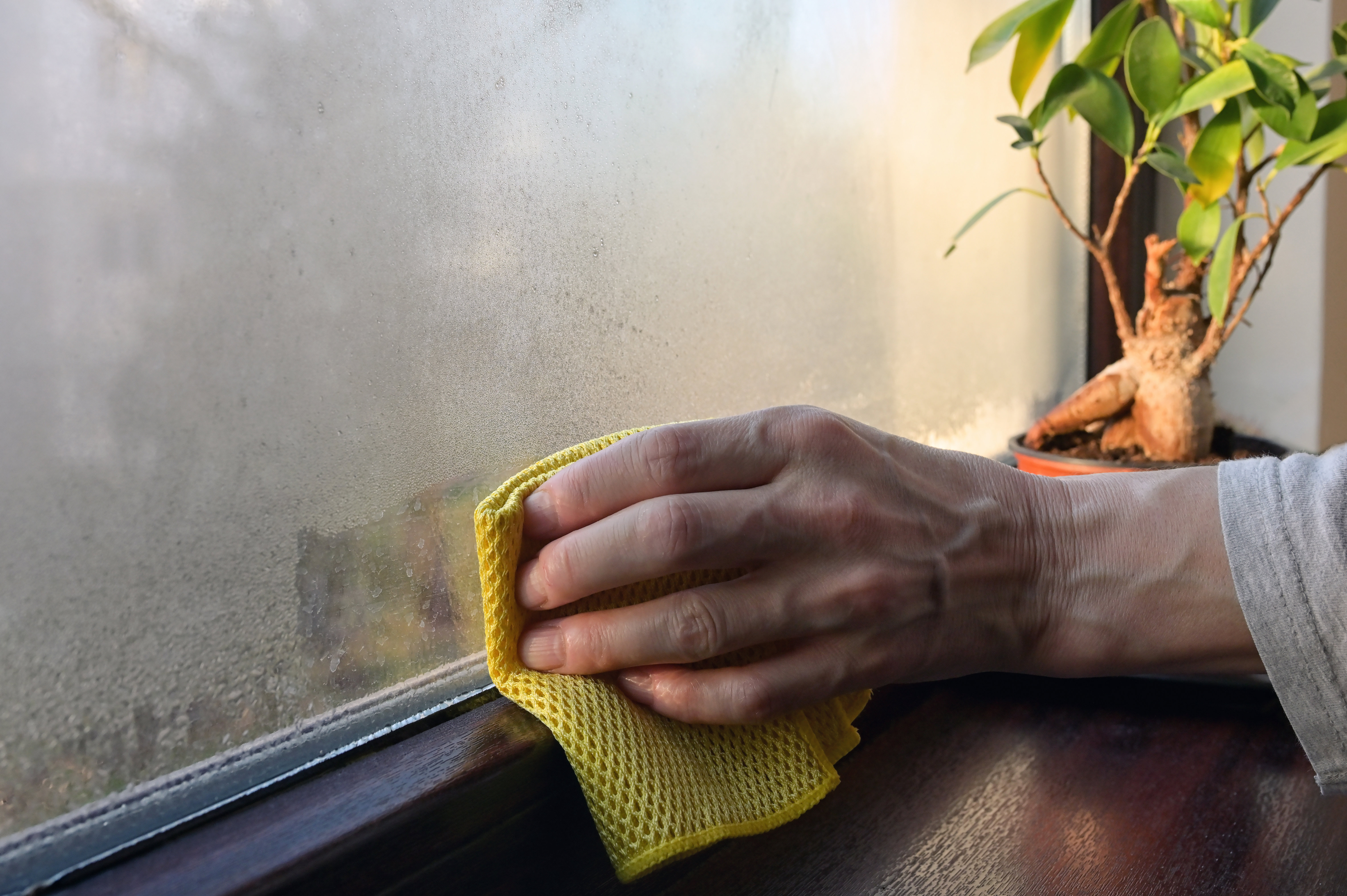 person-wiping-condensation-from-window